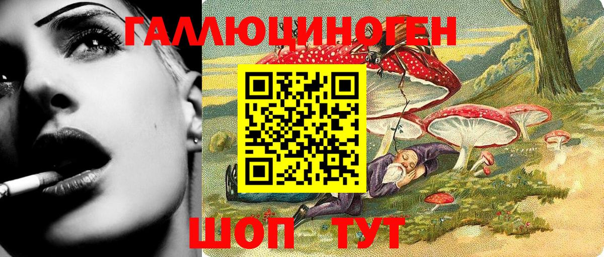 Псилоцибиновые грибы MAGIC MUSHROOMS  Вход с VPN  Кропоткин 